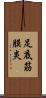 足底筋膜炎 Scroll