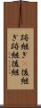 跡継ぎ(P) Scroll