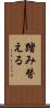 踏み替える Scroll