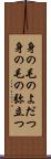 身の毛のよだつ Scroll