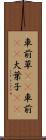 車前草(rK) Scroll
