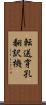 転送穿孔翻訳機 Scroll