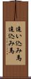 追い込み馬 Scroll