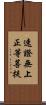 速證無上正等菩提 Scroll