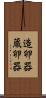 造卵器 Scroll