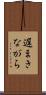 遅まきながら Scroll