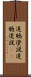 道聴塗説 Scroll