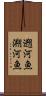 遡河魚 Scroll