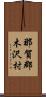 那賀郡木沢村 Scroll