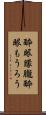 酔眼朦朧 Scroll