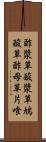 酢漿草 Scroll