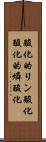 酸化的リン酸化 Scroll