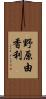 野原由香利 Scroll