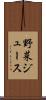 野菜ジュース Scroll