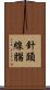 針頭線腦 Scroll