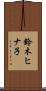 鈴木ヒナ子 Scroll