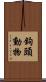 鉤頭動物 Scroll