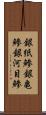 銀紙鯵 Scroll