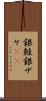 銀鮭 Scroll