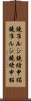 鐃准ルシ鐃緒申猫 Scroll