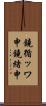鐃循ッワ申鐃緒申 Scroll