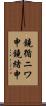 鐃循ニワ申鐃緒申 Scroll