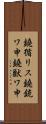 鐃循リス鐃銃ワ申鐃獣ワ申 Scroll