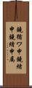 鐃循ワ申鐃緒申鐃緒申属 Scroll