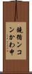 鐃循ンコンかわ申 Scroll
