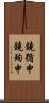 鐃循￥申鐃殉￥申 Scroll