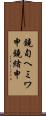 鐃旬ヘミワ申鐃緒申 Scroll