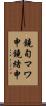 鐃旬マワ申鐃緒申 Scroll