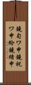 鐃旬ワ申鐃祝ワ申紛鐃緒申 Scroll