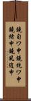 鐃旬ワ申鐃銃ワ申鐃緒申鐃夙随申 Scroll