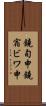 鐃旬￥申鐃宿ビワ申 Scroll
