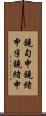 鐃旬￥申鐃緒申半鐃緒申 Scroll