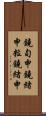 鐃旬￥申鐃緒申粒鐃緒申 Scroll