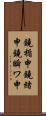 鐃楯￥申鐃緒申鐃瞬ワ申 Scroll
