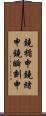 鐃楯￥申鐃緒申鐃瞬刻申 Scroll