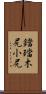 鐺 Scroll