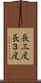 長三度 Scroll