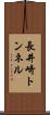 長井崎トンネル Scroll