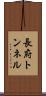 長府トンネル Scroll