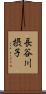 長谷川摂子 Scroll