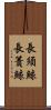長須鯨 Scroll