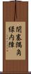 閉塞隅角緑内障 Scroll