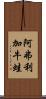 阿弗利加牛蛙 Scroll
