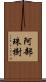 阿部珠樹 Scroll