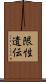 限性遺伝 Scroll