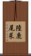 陸鹿尾菜 Scroll
